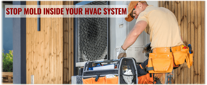 HVAC Mold Removal Chantilly VA
